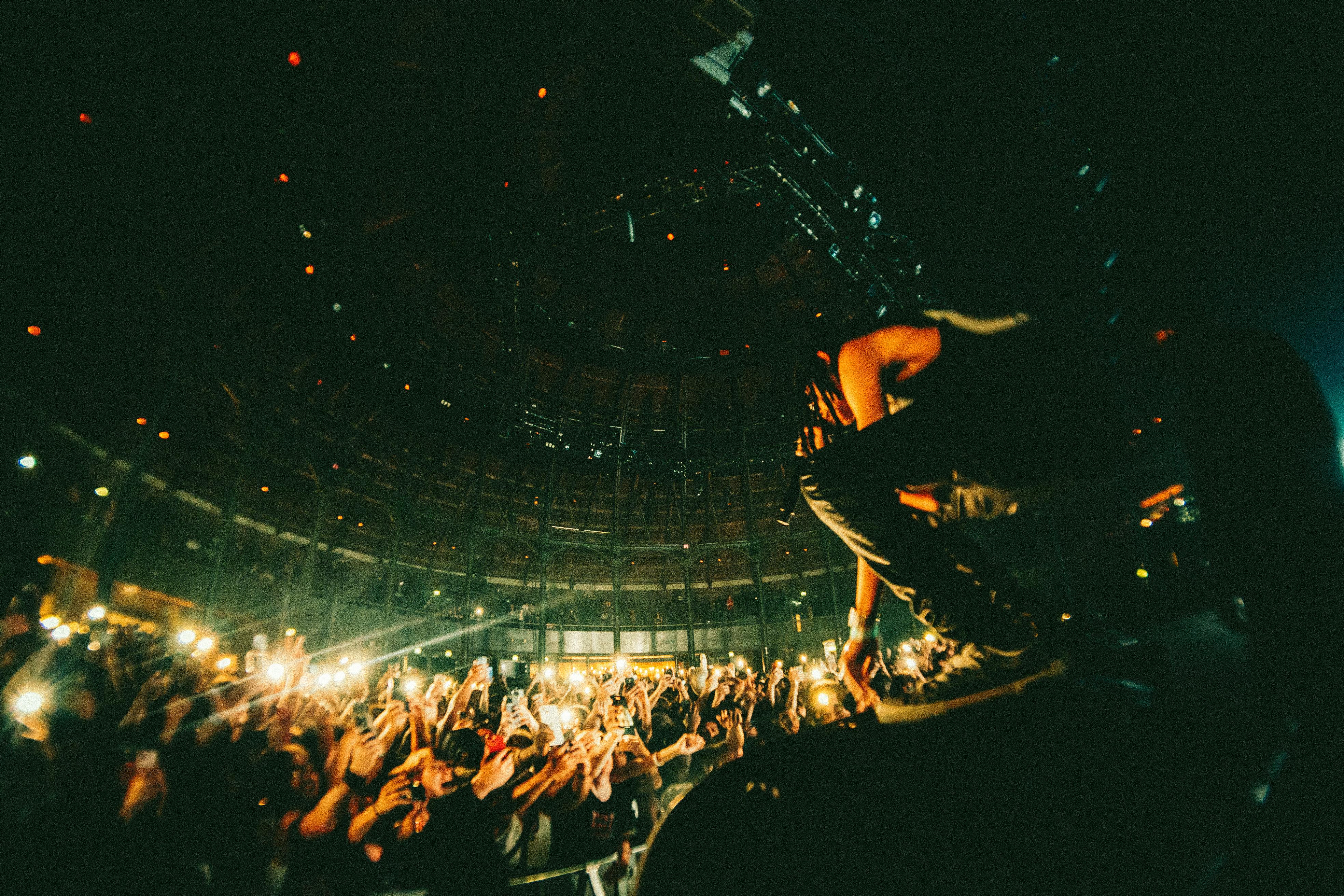 Gotobeat live entertainment